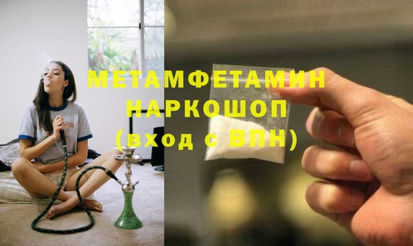 сатива Абинск