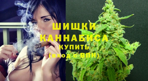 сатива Абинск